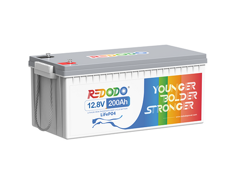 Redodo 12V 200Ah LiFePO4 BMS 100A BAT109 фото